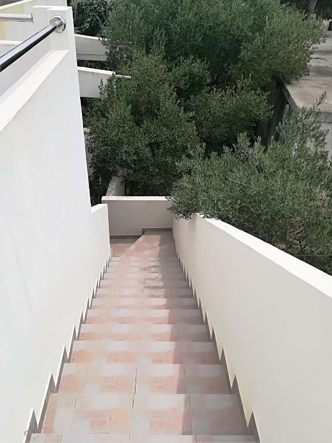 Apartman Rosanda Premuda Εξωτερικό φωτογραφία